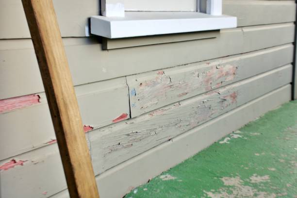 Property Management Cleanouts